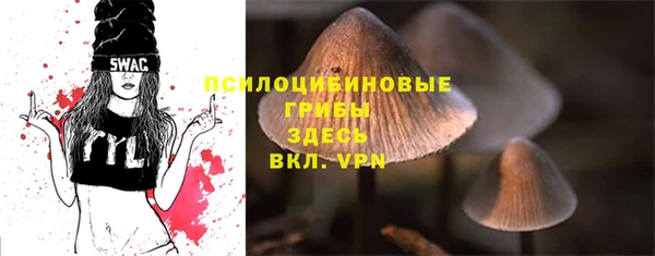 a pvp Алексин