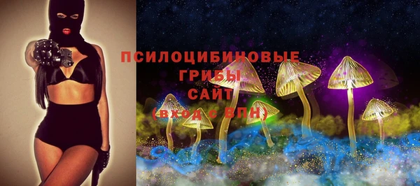 a pvp Алексин