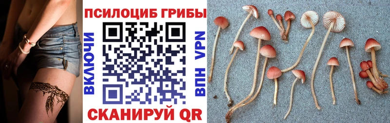 купить наркотики цена  Конаково  Псилоцибиновые грибы Magic Shrooms 